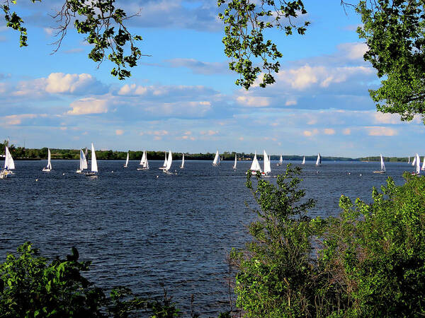 Rivers Poster featuring the photograph Spring Sailing on the Delaware by Linda Stern