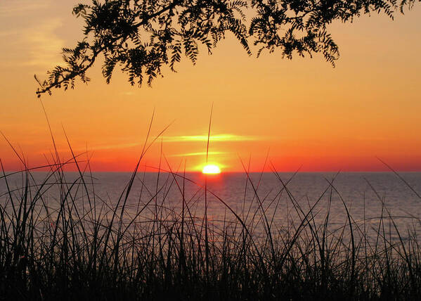 Oval Beach Poster featuring the photograph Sun Touched by Kathi Mirto