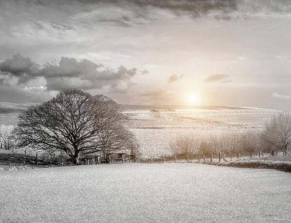 Sunlight; Farmland; Landscape; Fine Art; Black And White; Sun; Countryside; Flemish; Flanders; Ardennes; Belgium Poster featuring the photograph Sunlight on Farmland by Wim Lanclus