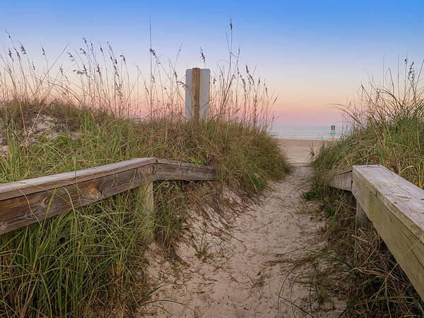 Beach Entrance Poster featuring the photograph Sunset at Jasmine, Amelia Island Florida by Dawna Moore Photography
