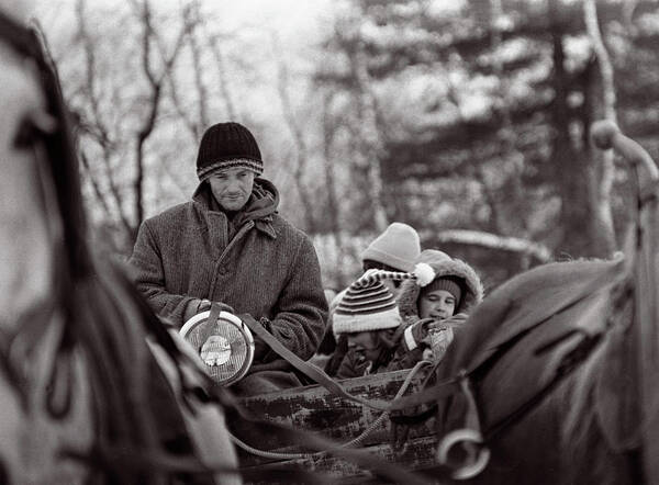 Horse Poster featuring the photograph The Hayride by Wayne King