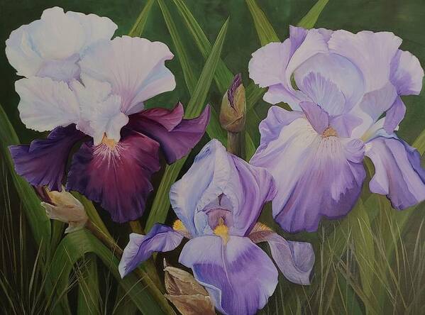 Iris Flowers Poster featuring the painting Three Sisters by Connie Rish