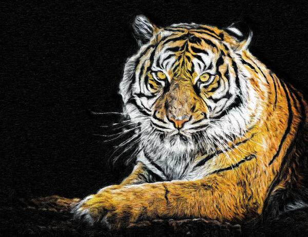 Tiger Painting Canvas Set, Tiger Canvas Print, Tiger Decor Poster by  Mustapha Dazi - Fine Art America