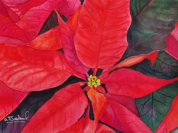 Poinsettia Poster featuring the painting Tis the Season by Ann Frederick