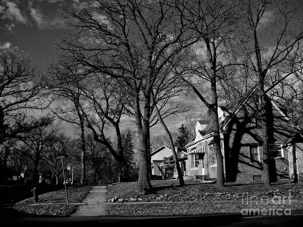 Sunlight Poster featuring the photograph Tree Patterns Shadows and Houses by Frank J Casella