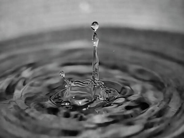 Black Poster featuring the photograph Water Drop Black and White by Jerry Connally