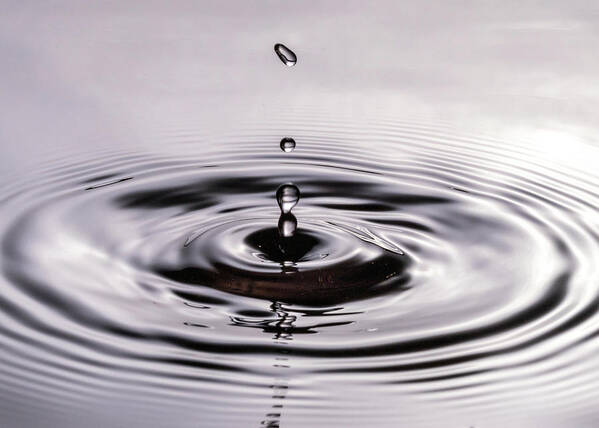 Close Up Poster featuring the photograph Water Drops Splash Down by Amelia Pearn