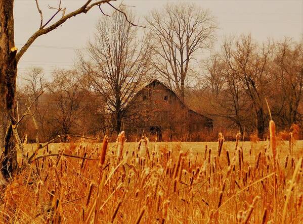 - Winter Farm - New Albany Oh Poster featuring the photograph - Winter Farm - New Albany OH by THERESA Nye