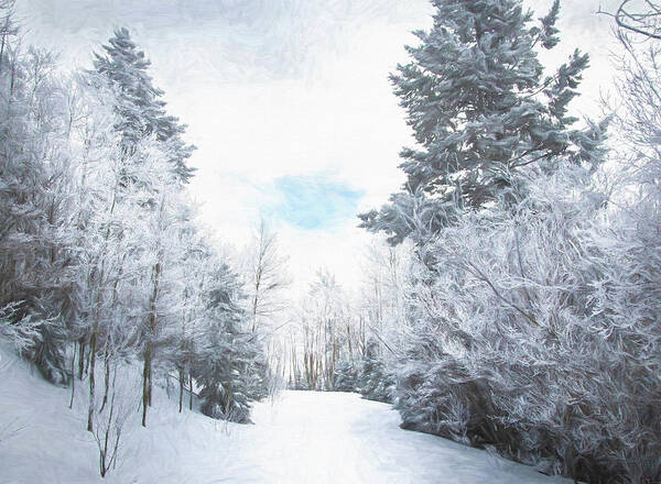 Winter Wonderland Poster featuring the photograph Winter Wonderland by Rebecca Herranen