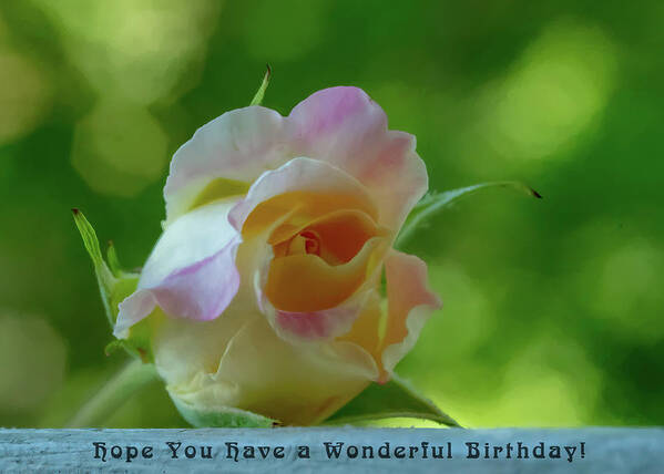 Greeting Card Poster featuring the photograph Wonderful Birthday by Cathy Kovarik