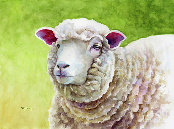 Sheep Poster featuring the painting Woolly Sheep by Hailey E Herrera