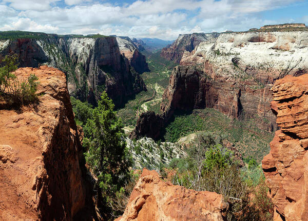 Zion Poster featuring the photograph Zion National Park VIII by Ricky Barnard