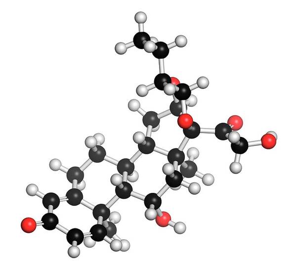 Budesonid Poster featuring the photograph Budesonide Corticosteroid Drug Molecule by Molekuul