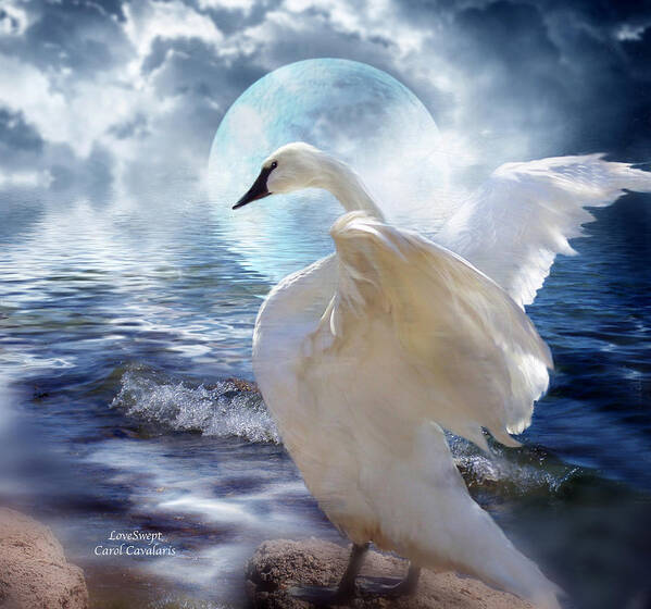 Swan Poster featuring the mixed media Love Swept by Carol Cavalaris