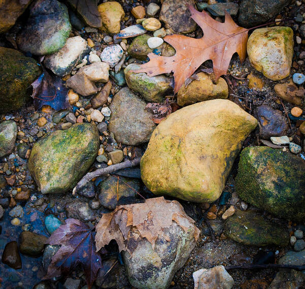 Landscape Poster featuring the photograph Nature's Abstract 2 by Virginia Folkman