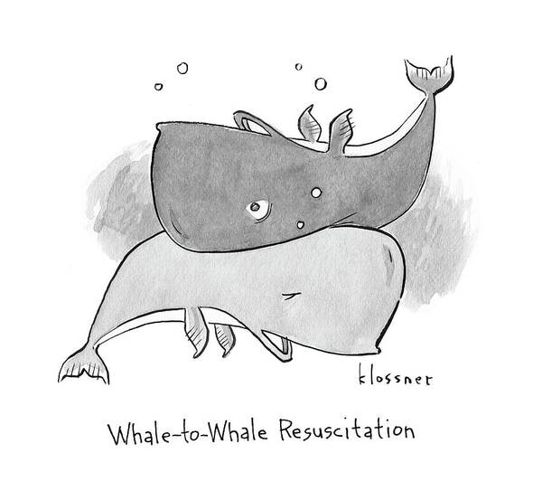 Whale To Whale Resuscitation Whale Poster featuring the drawing New Yorker April 24th, 2017 by John Klossner