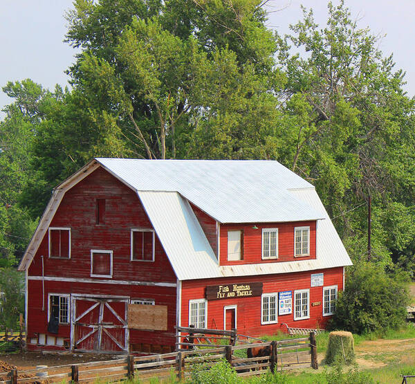 Barn Poster featuring the photograph Red Barn by Cathy Anderson