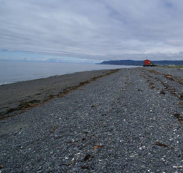 Alaska Beach Poster featuring the photograph Serenity at the Beach by Patricia Twardzik