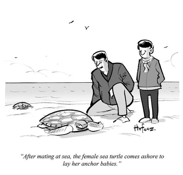 After Mating At Sea Poster featuring the drawing The Female Turtle Comes Ashore To Lay Her Anchor by Kaamran Hafeez