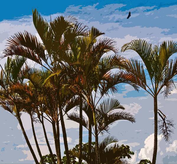 Beach Landscape Poster featuring the photograph The Osprey and the Palms by Edward Shmunes
