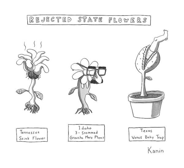 Flowers Poster featuring the drawing Title: Rejected State Flowers: Tennessee by Zachary Kanin