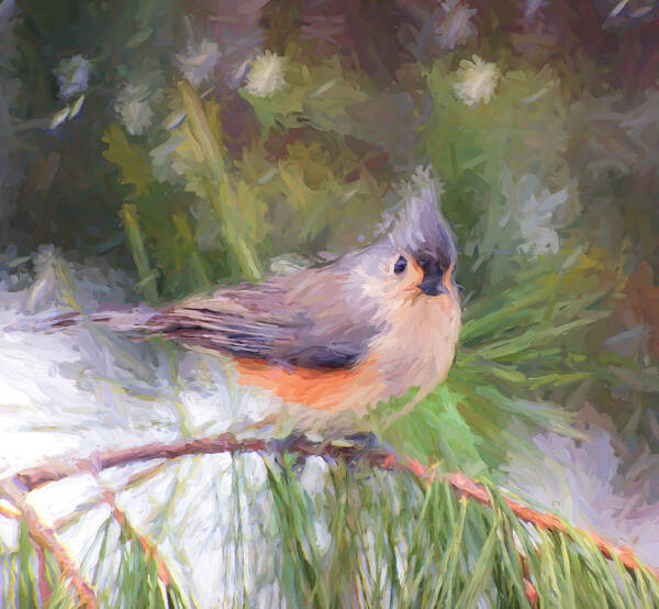 Tufted Titmouse Poster featuring the painting Tufted Titmouse On a Pine Branch - Digital Painting by Kerri Farley
