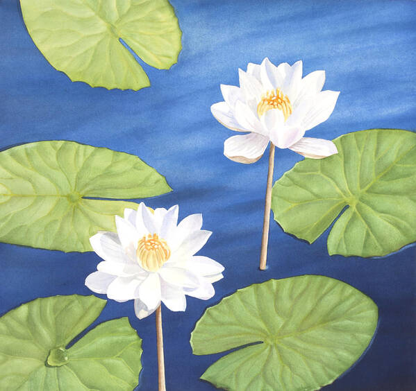 Water Lilies Poster featuring the painting Water Lilies by Elena Polozova