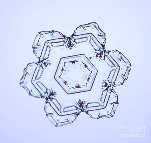 Snow Poster featuring the photograph Snowflake #76 by Ted Kinsman