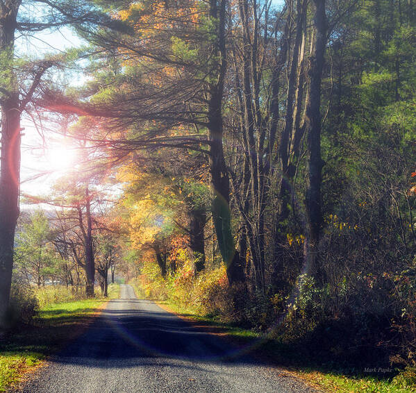 Fall Poster featuring the photograph Autumn Road by Mark Papke