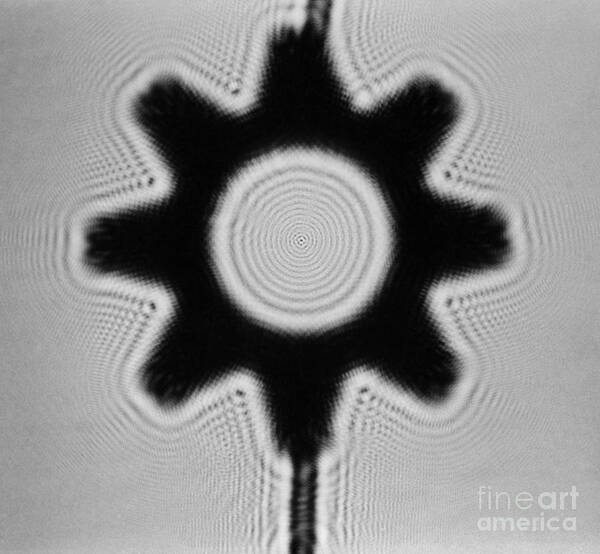 Diffraction Poster featuring the photograph Fresnel Diffraction Pattern by Omikron