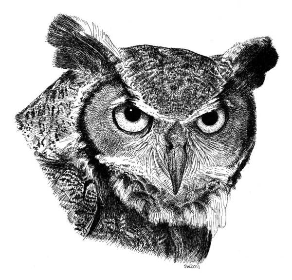 Owl Poster featuring the drawing Great Horned Owl by Scott Woyak