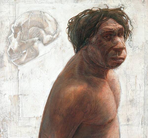 Homo Heidelbergensis Poster featuring the photograph Miguelon Reconstruction by Kennis And Kennismsf