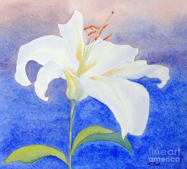 White Poster featuring the painting White Lily by Laurel Best