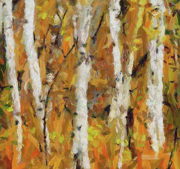  Poster featuring the painting Birch Trees in Autumn #4 by Dragica Micki Fortuna