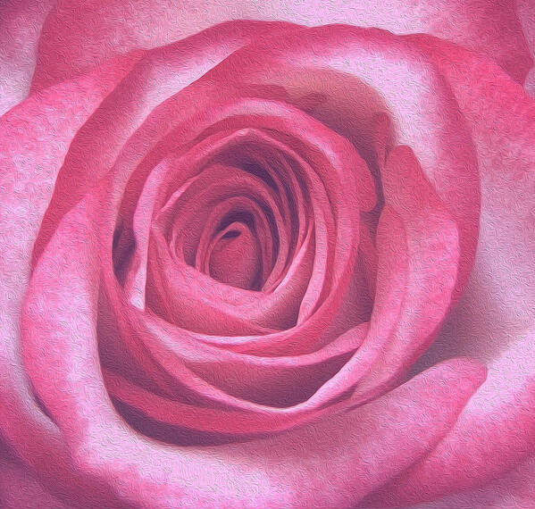 Rose Poster featuring the photograph Artistic Red Rose by Johanna Hurmerinta