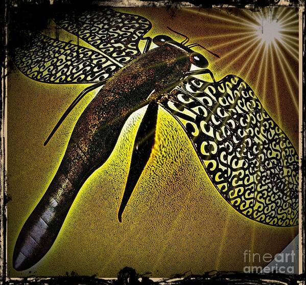 Dragonfly Poster featuring the digital art Dragonfly V by Leslie Revels