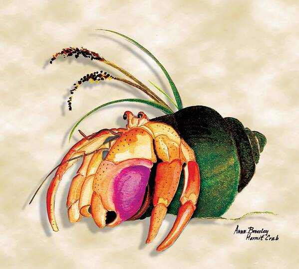 Shell Poster featuring the painting Hermit Crab in Green Shell by Anne Beverley-Stamps