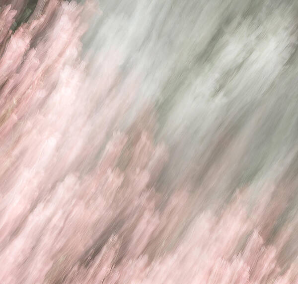 412 Kinetic #2 Nature Abstract Experimental Brushstroke Impressionist Impressionistic Paint Paintbrush Flora Move Movement Outside Outdoor Day Daylight Daytime Midday Spring Vertical Tall Square Blur Blurry Blurred Gradation Hyperreality Texture Vibrant Earthtone Red Pink Peach Beige White Grey Gray Painterly Painting Earth Earthtone Steve Steven Maxx Photography Photo Photographs Poster featuring the photograph Kinetic #2 by Steven Maxx