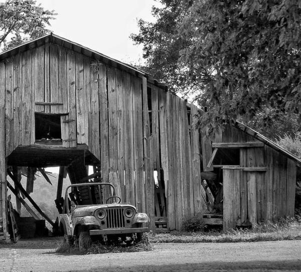 Ruraldecay Poster featuring the photograph Lawn Art by Stacy Sikes