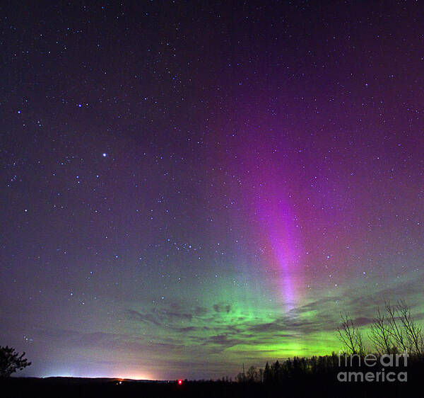 Northern Lights Poster featuring the photograph Love these nights by Jamie Rabold