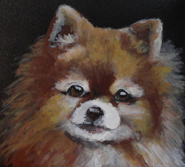 Pomeranian Poster featuring the painting Mickey by Carol Russell