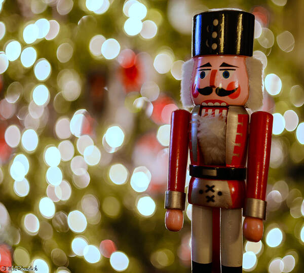 Nutcracker Poster featuring the photograph Nutcracker by Mike Ronnebeck