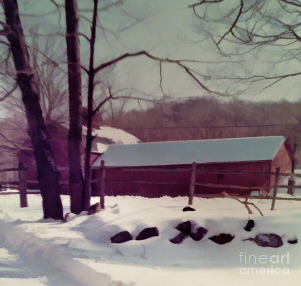 Barn Poster featuring the photograph Red Barns in the Snow by Xine Segalas