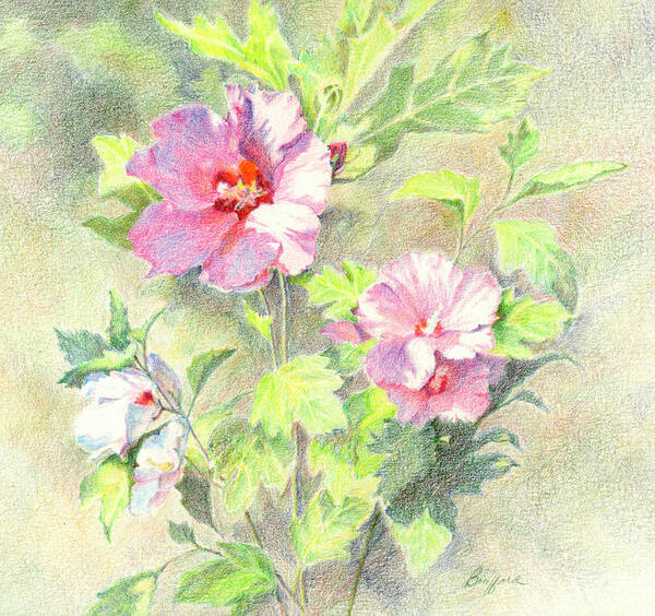 Rose Of Sharon Poster featuring the painting Rose of Sharon by Vikki Bouffard