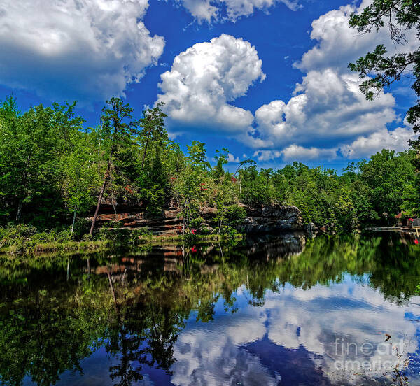 Reflection Poster featuring the photograph Summer Reflection by Paul Mashburn