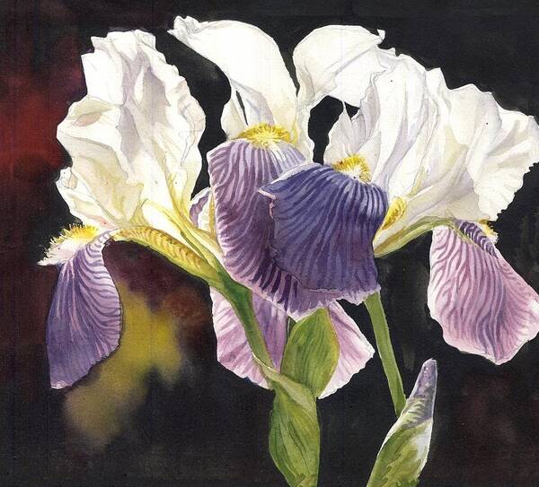 Three Irises Poster featuring the painting Three Irises by Alfred Ng