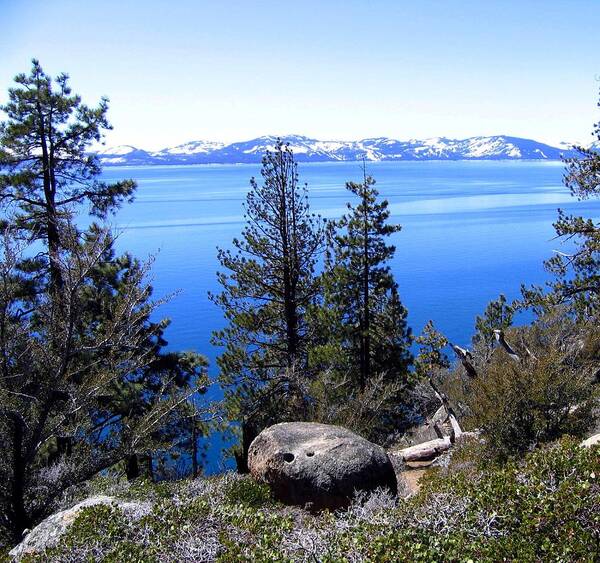 Lake Tahoe Poster featuring the photograph Tranquil Lake Tahoe by Will Borden