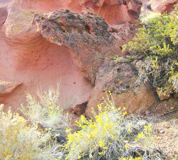 Rock Poster featuring the photograph Volcanic Garden by Marilyn Diaz