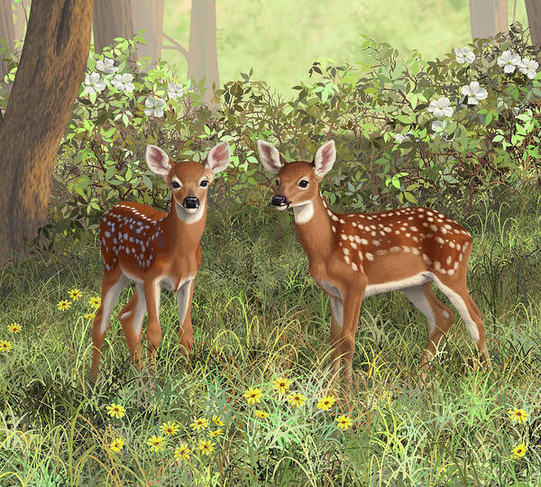 Whitetail Deer Poster featuring the painting Whitetail Deer Twin Fawns by Crista Forest