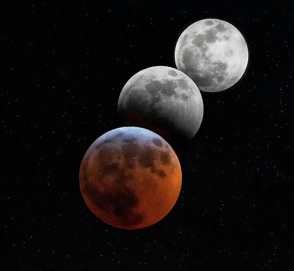 Lunar Eclipse Poster featuring the photograph Blood Moon Lunar Eclipse by Art Cole